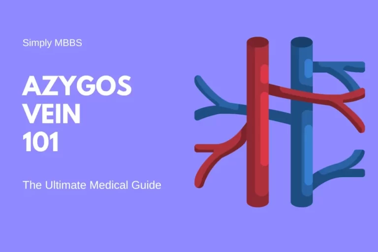 Azygos Vein