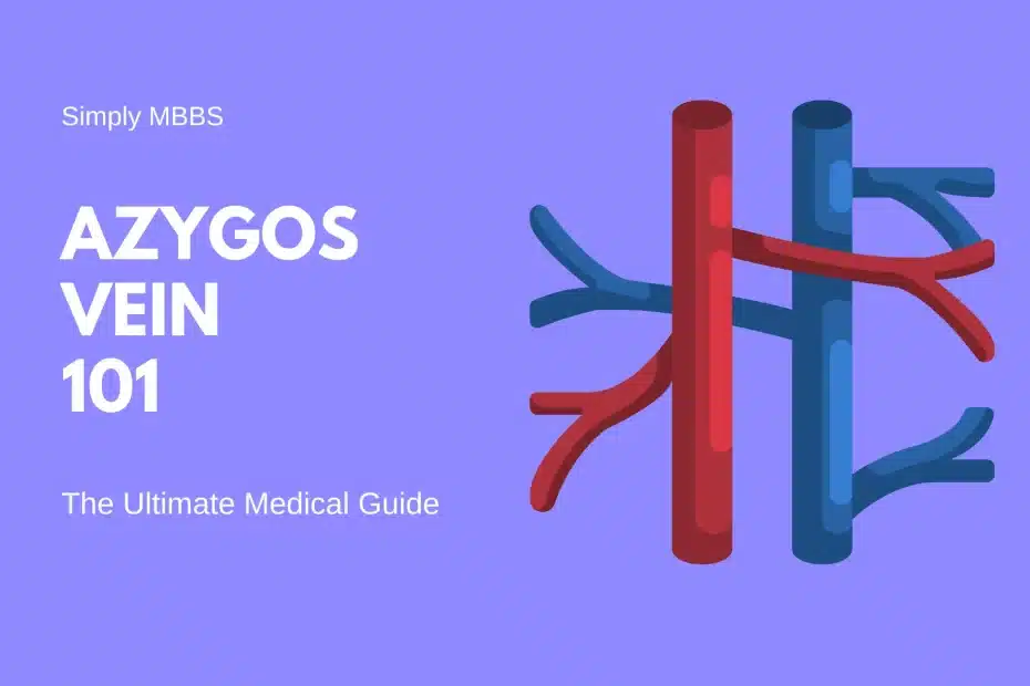 Azygos Vein