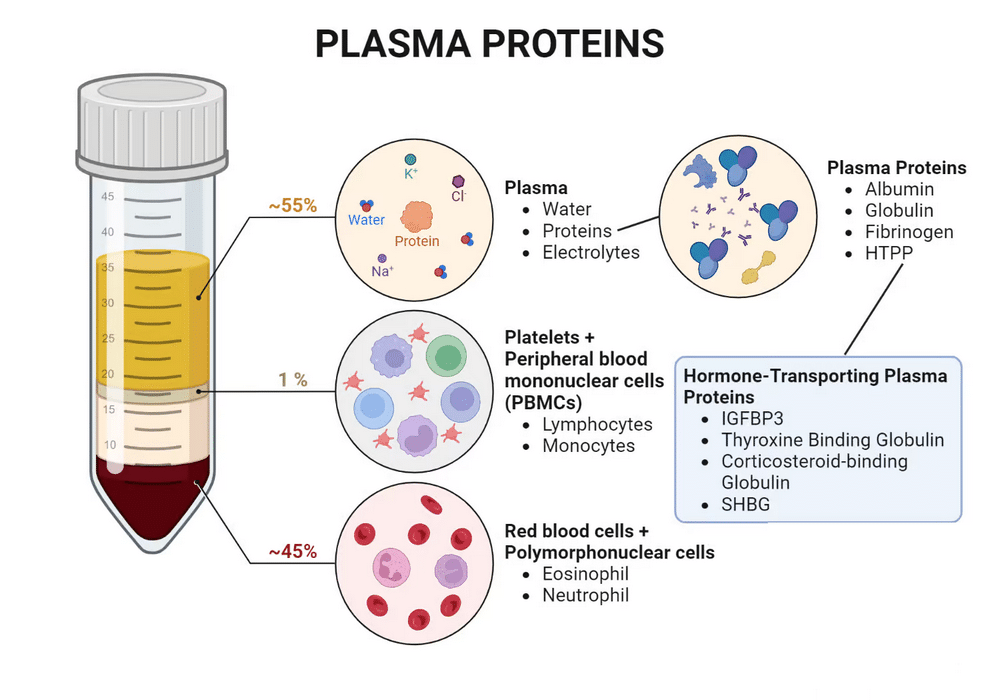 Plasma Proteins components