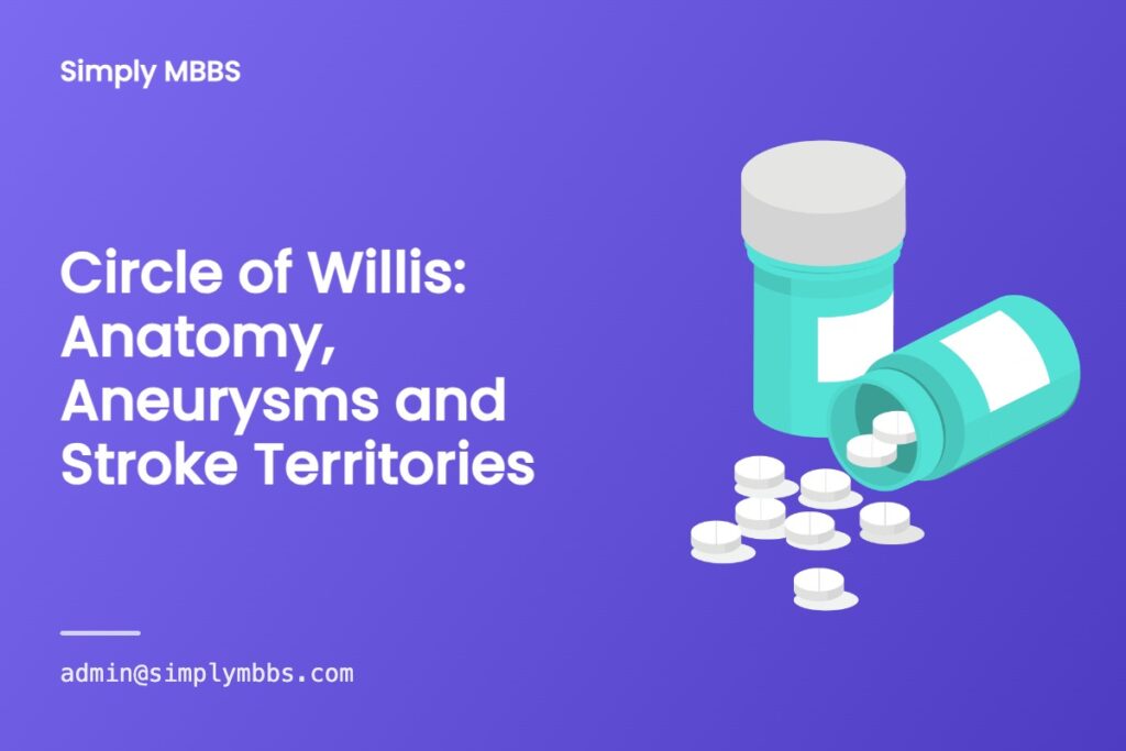 Circle of Willis: Anatomy, Aneurysms and Stroke Territories